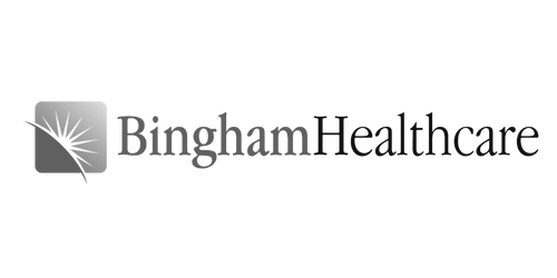 Bingham Grey